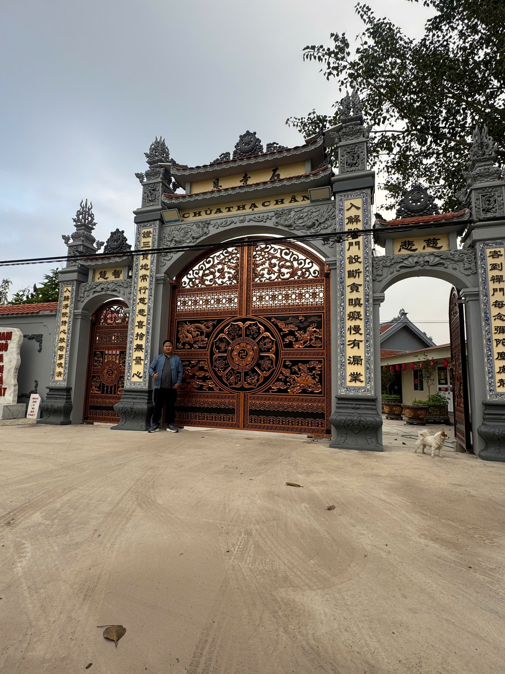 Cổng nhôm đúc C014